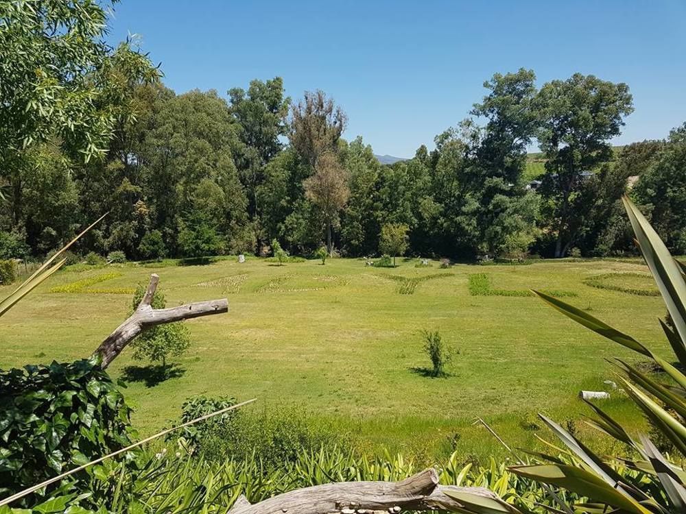 Lady Loch Country House Wellington Zewnętrze zdjęcie